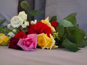 Casa Bambino Sithonia