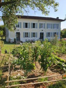 B&B / Chambres d'hotes La Chaise Haute : photos des chambres