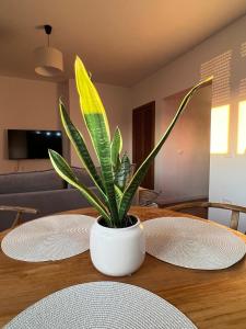 The Heart of Tirana By Zheni