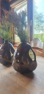 Finse woning nabij groot meer