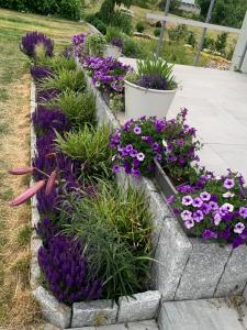 Albatrosa 17 - apartament nr 4