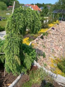 Albatrosa 17 - apartament nr 4