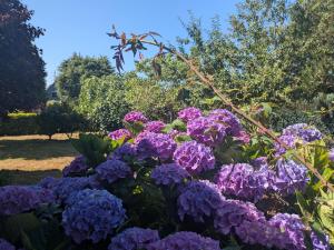 Villas Calme, espace, grand jardin, parkings, 14 persons, 10 min place Conleau : photos des chambres