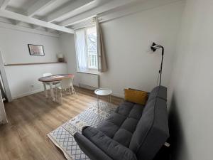 Appartements Duplex place Louis XI Orleans : Appartement 1 Chambre