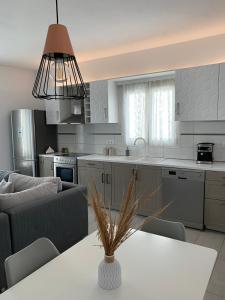 City center Paroikia apartment