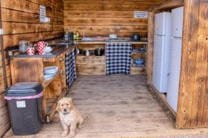 Camp Garden Park- Pitches for Campers and Tents