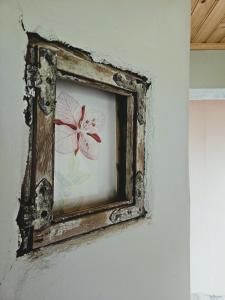 The Forgotten Farmhouse