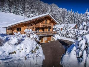 Chalets Chalet Alex - OVO Network : Chalet 4 Chambres