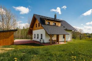 Šumavská Vlčice - Dům