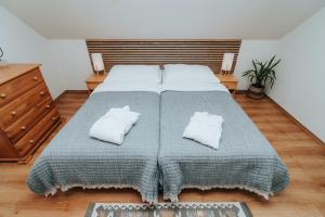 Apartment with Balcony - Depandance building room in Penzion Drak