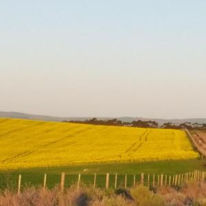 Inhoek farm Arniston