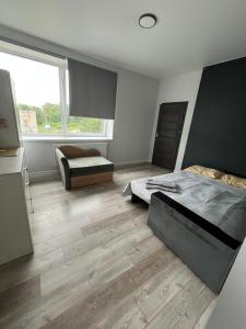 1 kambario apartamentai