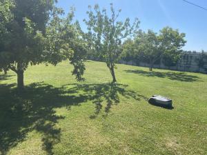 Maisons de vacances Holiday Home Tytisa N-1 by Interhome : photos des chambres