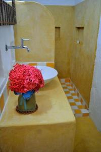 Butterfly House Bahia