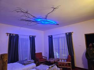 African Royal Villa and Campsite