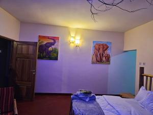 African Royal Villa and Campsite