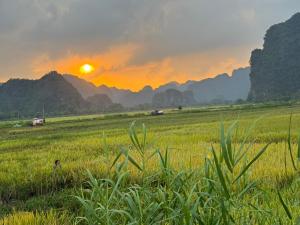 Tam Coc Palm House