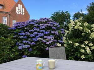 Klangwald Sylt HOUSE | Apartment *Anker*