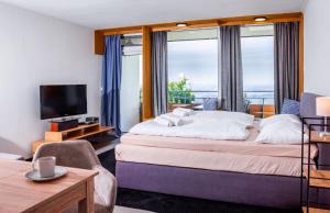 Standard Studio room in Ferienpark Geyersberg