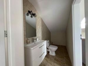 Aerodromas!Kunigiskiu K1