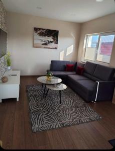 Aerodromas!Kunigiskiu K1