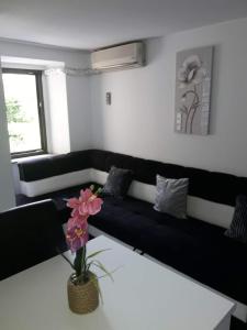 Apartmaji Emina