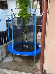 Casa Antonia Busteni