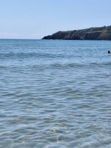 Alex Studio, Sozopol, Kavaci