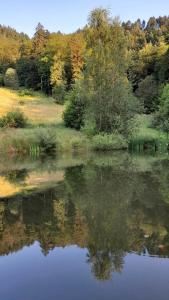 RELAX CHALET Nature Retreat - isolé sur 3 hectares - confort de LUXE - maison entière 150m2 - près de La Bresse