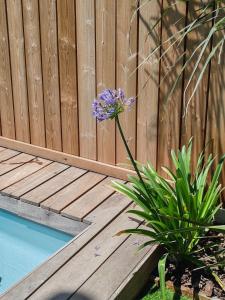 Location appartement tout confort jusquà 6 pers