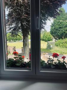 Appartements Famille et lacs en duplex : photos des chambres
