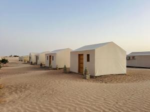 Camp Dunes Insolites Sabria