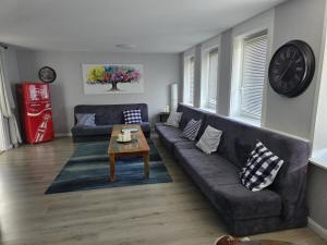 "Familientreff" in schöner moderner Ferienwohnung für 12 Personen im Oberharz!