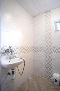 The Walnut Nest in Krasen