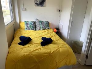 Lovely 2 bedroom flat in Hoxton