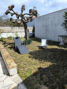 Maisons de vacances Sur les dunes : photos des chambres