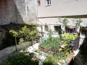 Appartements Les Boiseries : photos des chambres