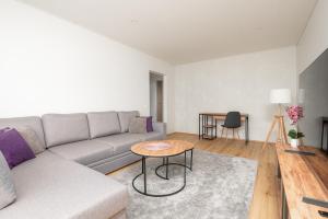 Mainiidu Apartment