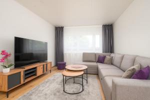 Mainiidu Apartment