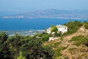 Great Pelion Villa Villa Thalia Private Pool 3 Bedrooms