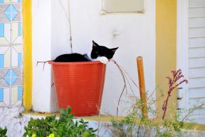 Beautiful Caminha Villa 2 Bedrooms Villa Sandover Private Pool