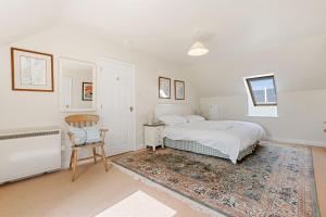 Chough at Highcliffe