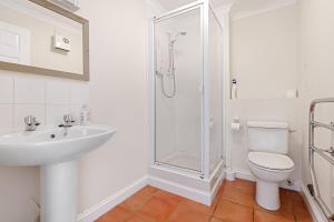 Chough at Highcliffe