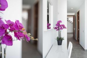 Modern Los Mojones Villa 3 BedroomsEn-Suite Villa Berniente