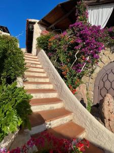 Hotel Don Diego img62