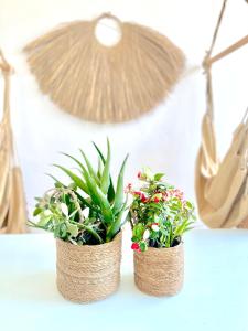 Lemon Tree House, Golden Beach