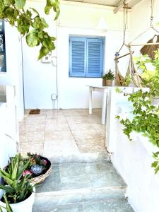 Lemon Tree House, Golden Beach