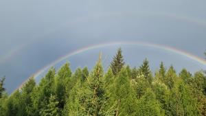 Appartamento Lisa Residence Solaria Marilleva 1400