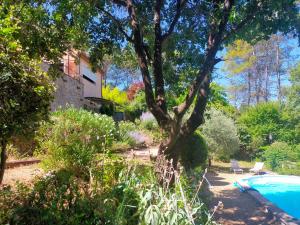 Le Figuier appart 2-3 pers en plein vignoble avec piscine privée à 30mn des gorgesdu Verdon et des plages