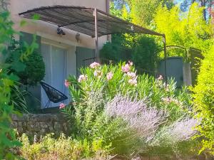 Le Figuier appart 2-3 pers en plein vignoble avec piscine privée à 30mn des gorgesdu Verdon et des plages